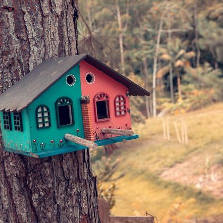 Pousada Casarao Gastehaus Pomerode Exteriér fotografie