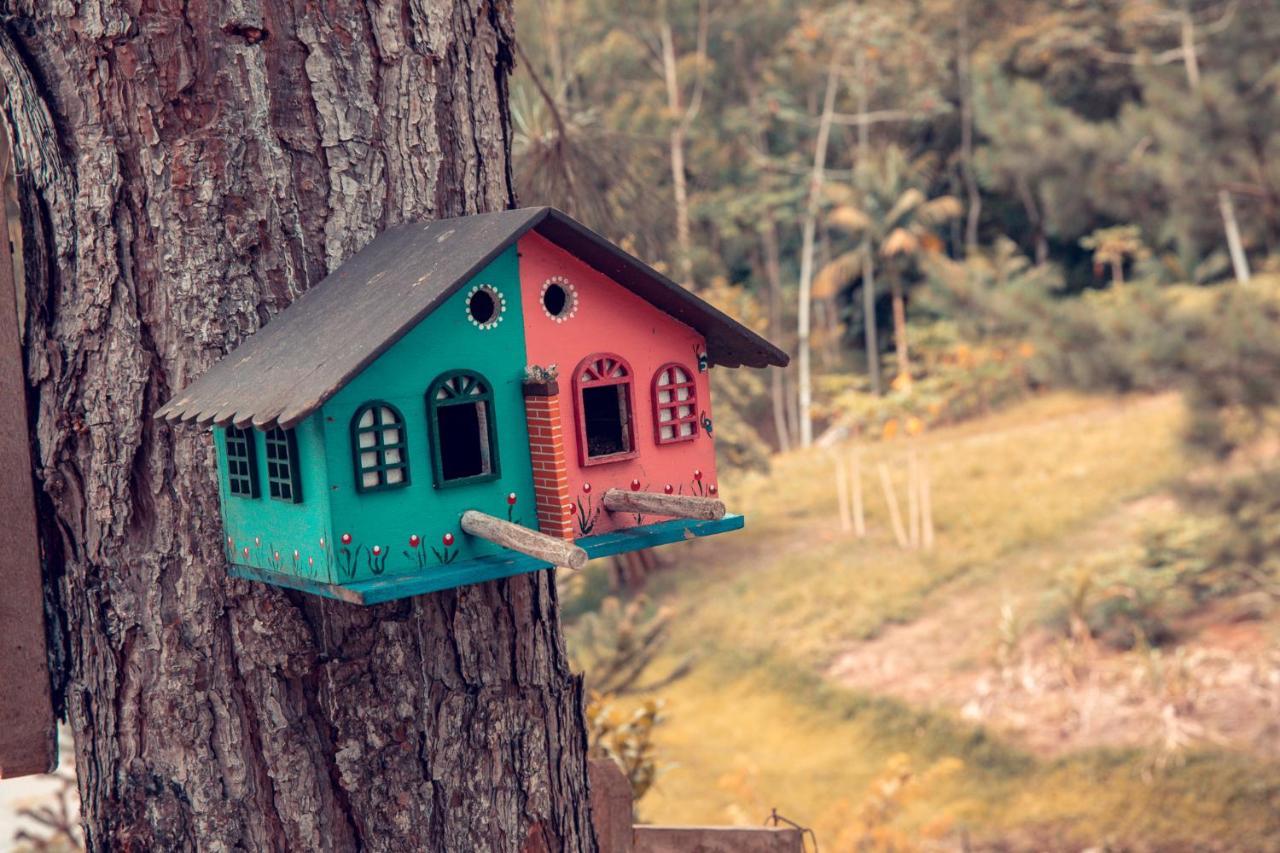 Pousada Casarao Gastehaus Pomerode Exteriér fotografie